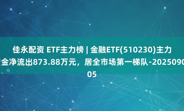 佳永配资 ETF主力榜 | 金融ETF(510230)主力资金净流出873.88万元，居全市场第一梯队-20250905