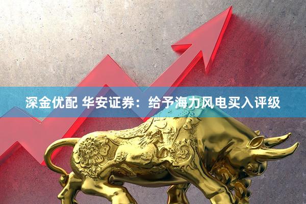 深金优配 华安证券：给予海力风电买入评级