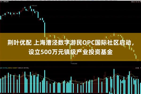 荆叶优配 上海漕泾数字游民OPC国际社区启动，设立500万元镇级产业投资基金